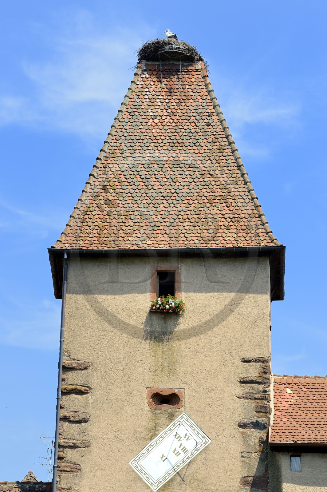 France, Haut-Rhin (68), Ammerschwihr, la porte haute ou tour des Cigognes (1608)