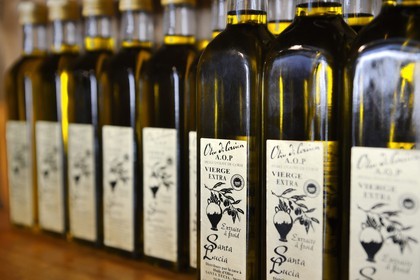 France, Corse du Sud, Alta Rocca, Sainte-Lucie-de-Tallano (Santa Lucia di Tallà), bottles of olive oil in the Santa Lucia oil cellar