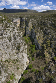 France, Var (83) rive gauche et Alpes-de-Haute-Provence (04) rive droite, Parc Naturel Régional du Verdon, les Gorges de l'Artuby