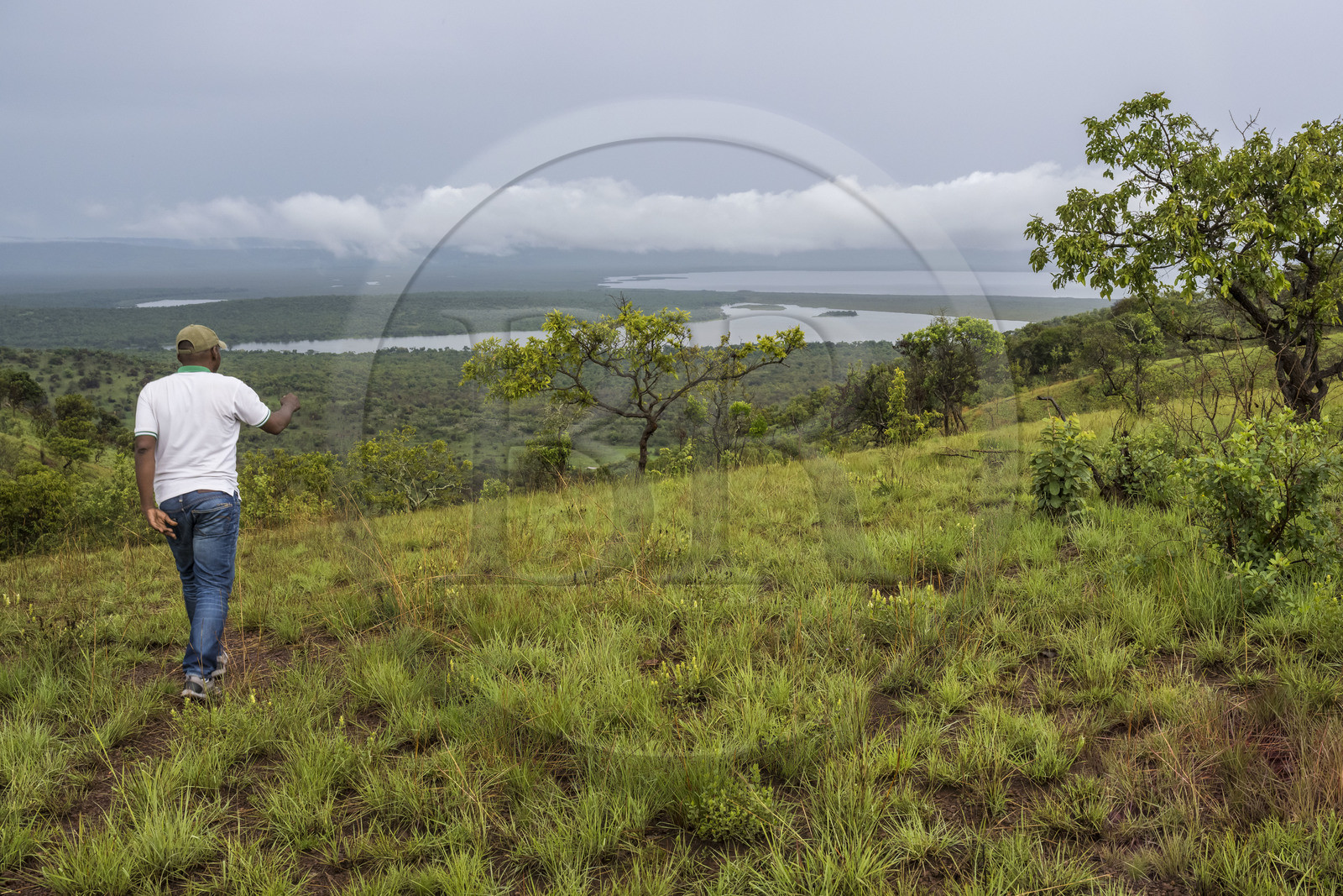Rwanda, Akagera National Park, lake Birengero