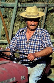 France, Correze, hay making near Collonges la Rouge village
