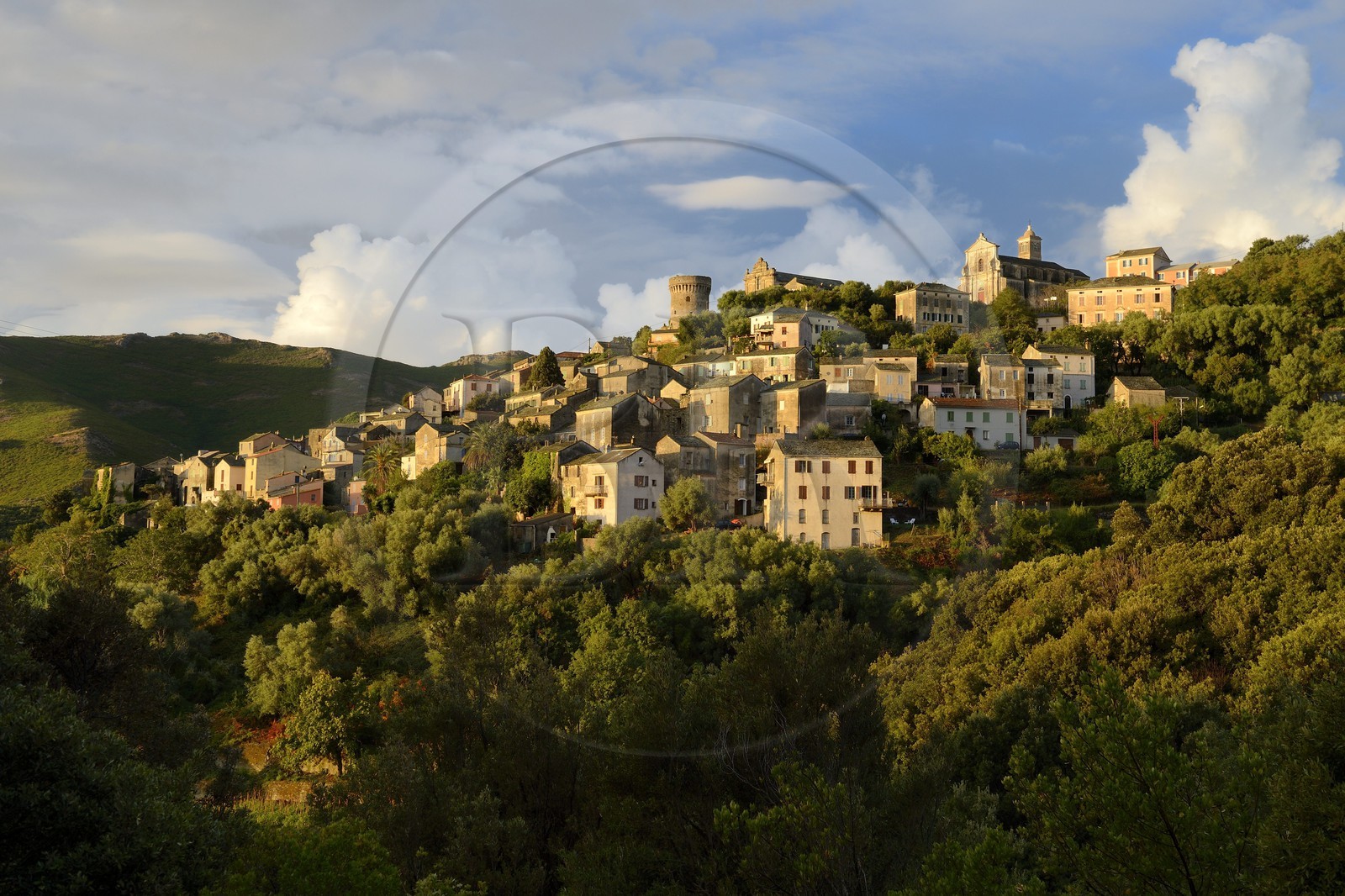 France, Haute-Corse (2B), Cap Corse, commune de Rogliano, village de Bettolacce (Bettulace) dominé par la tour génoise ronde della Parocchia, édifice fortifié du XVème siècle