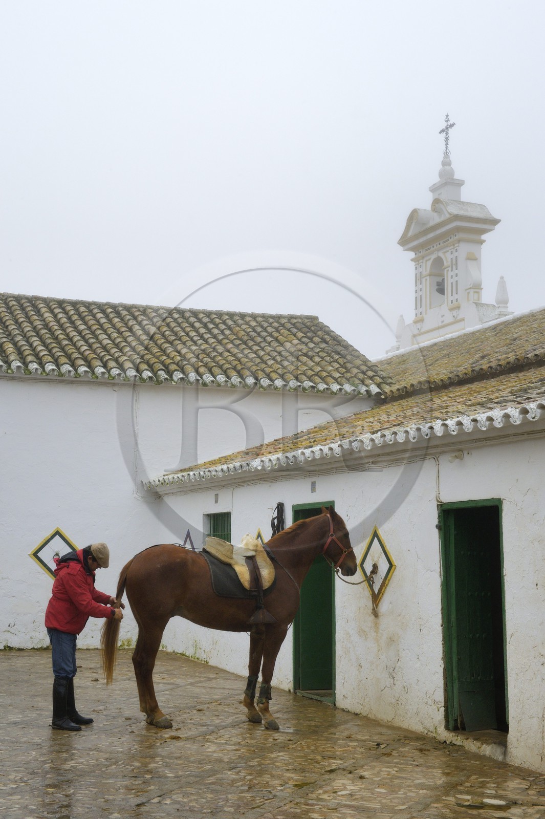Espagne, Andalousie, province de Séville, Utrera, Finca El Pinganillo, le haras de la propriété