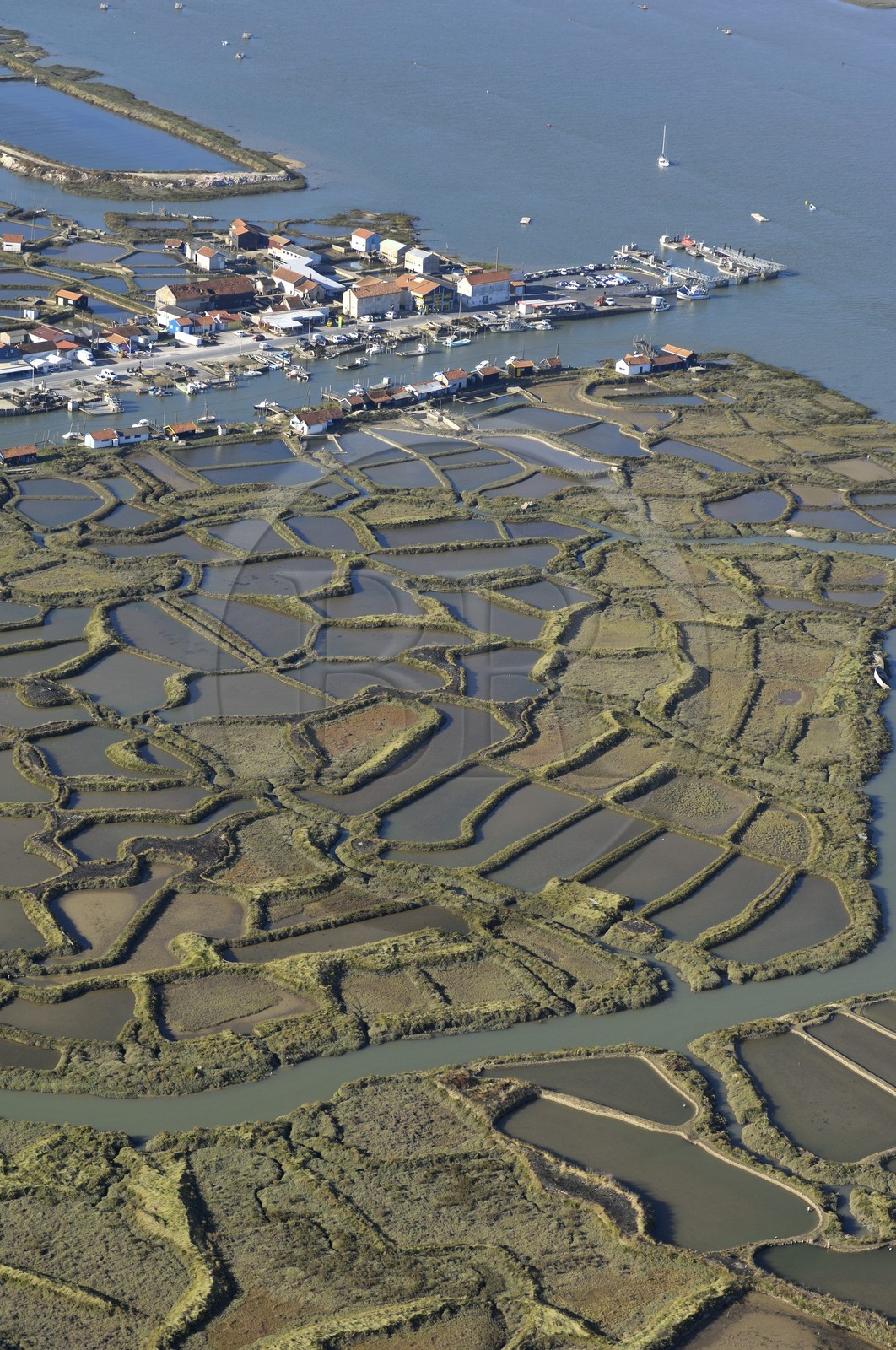France, Charente-Maritime (17), bassin de Marennes-Oléron, La Tremblade, port de la grève (vue aérienne)