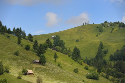 Romania, Transylvania, Brasov region, the Fagaras Mountains at Moieciu de Sus in the Southern Carpathians