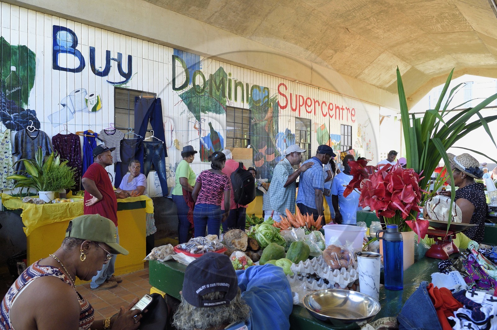 Caraïbes, Ile de la Dominique, la capitale Roseau, marché centrale