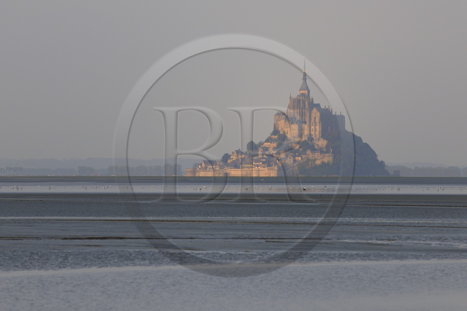France, Manche, the Mont Saint Michel at dawn seen from the Bay, listed as World Heritage by UNESCO