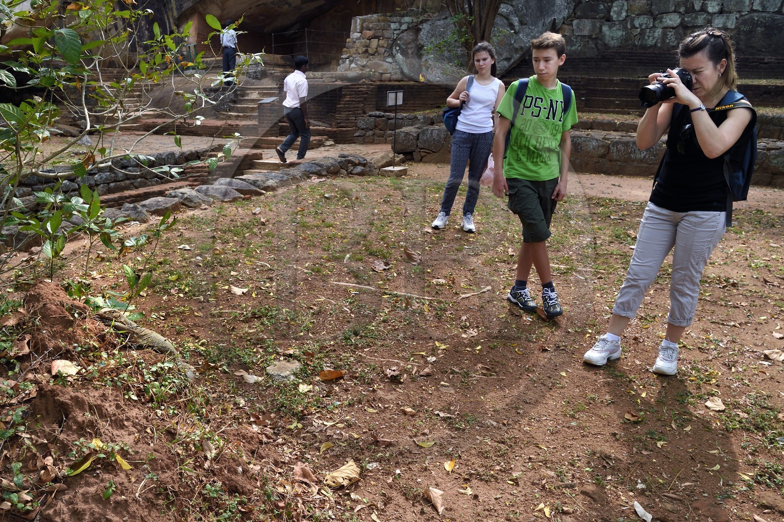 Sri Lanka, province centrale, district de Matale, Sigiriya, ville ancienne de Sigiriya classée patrimoine mondial de l'UNESCO, l'ancien palais forteresse du Rocher du Lion