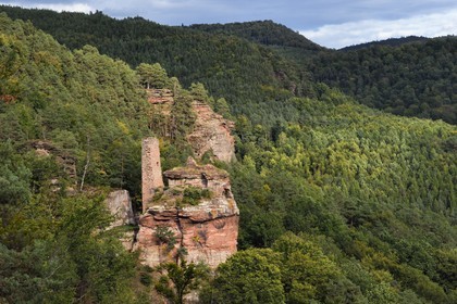 France, Bas Rhin, Northern Vosges Regional Natural Park, Obersteinbach, Steinbach national forest, Klein Arnsberg Castle ruins
