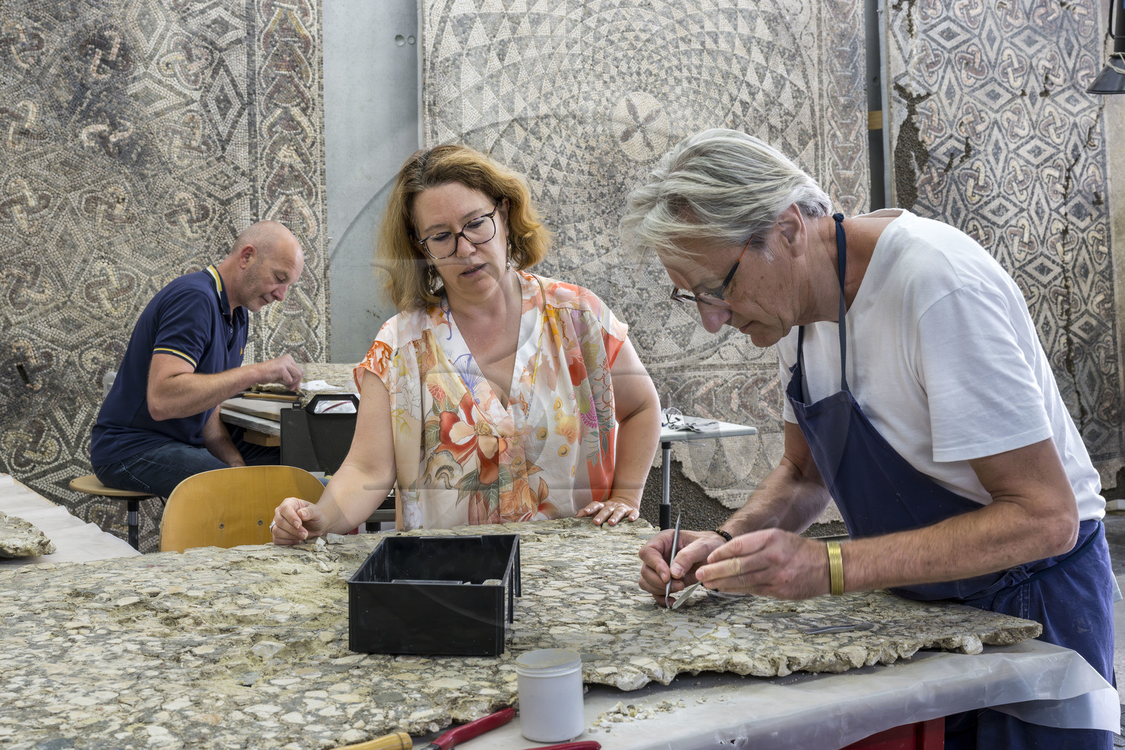 France, Bouches du Rhone, Arles, musée départemental Arles antique, conservation and restoration workshop, restoration of the tullo, ancient mortar discovered in the harpist's house (between 70 and 50 BC), Aurélie Martin at the head of service