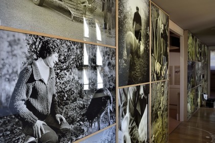 France, Var (83), Aups, Maison de la Truffe