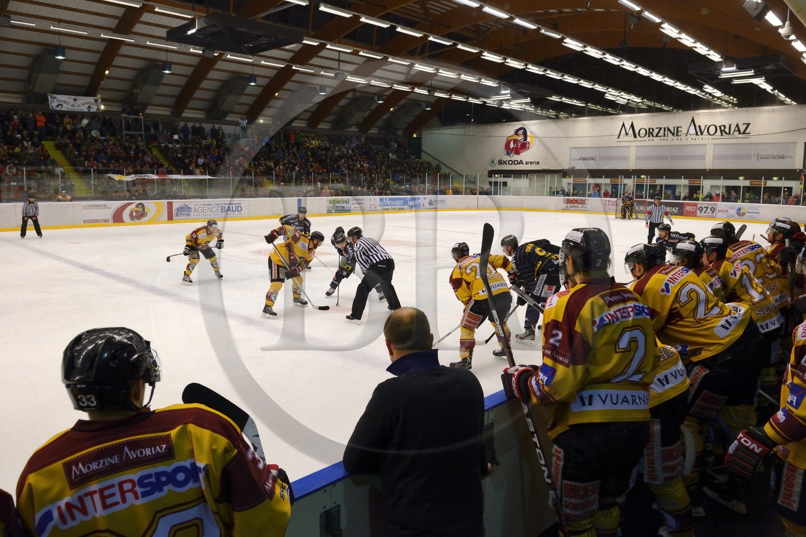 France, Haute-Savoie (74), Morzine, match de hockey sur glace du Hockey Club Morzine-Avoriaz appelé les Pingouins