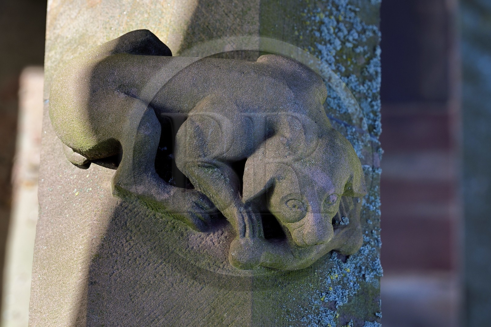 France, Bas-Rhin (67), Strasbourg, vieille ville classée au Patrimoine Mondial de l'UNESCO, sculpture du chien à l'os sur une balustrade de la facade nord de la cathédrale Notre-Dame
