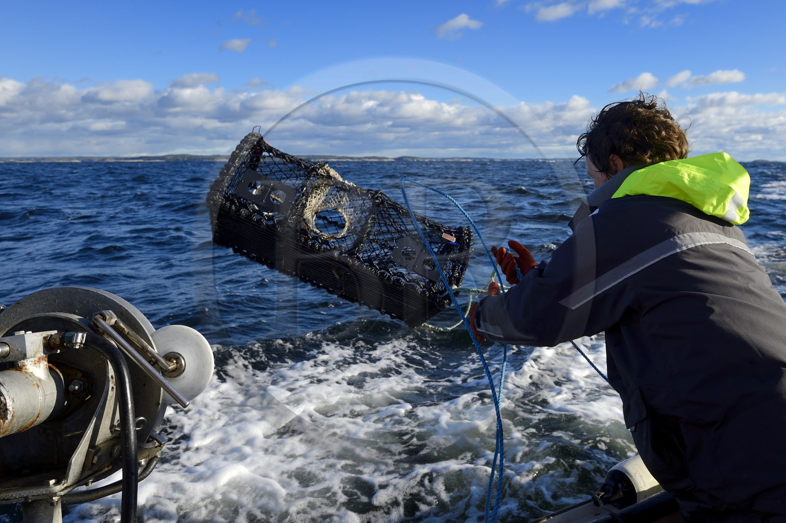Suède, Västra Götaland, Iles Koster, sortie en mer pour récupérer les casiers à homards, le pêcheur rejette les casiers vide à la mer