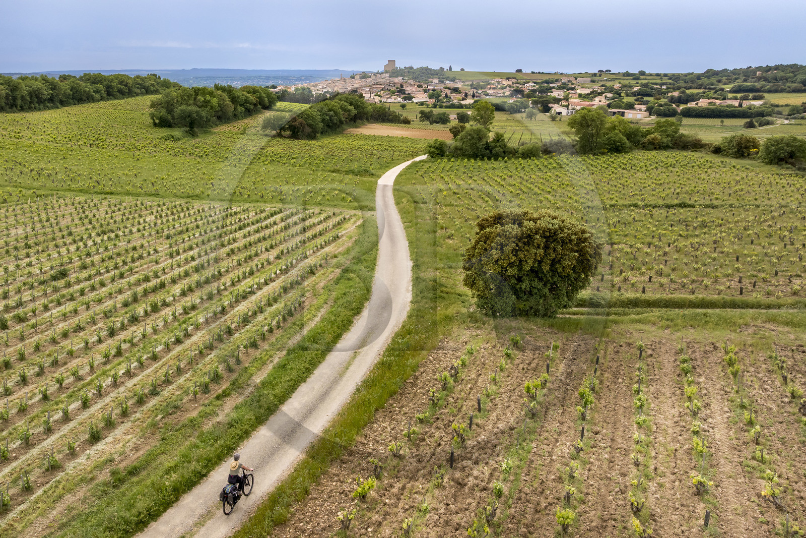 France, Vaucluse (84), Châteauneuf-du-Pape, randonnée à vélo sur le chemin Coste Froide sur le plateau de la Crau et le donjon de Châteauneuf-du-Pape en arrière plan (vue aérienne)