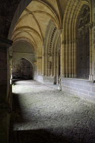 Espagne, Pays-Basque, Navarre, Roncevaux, étape du chemin de Saint-Jacques de Compostelle, Collégiale royale de Roncevaux, cloitre de l'église de Santa María la Real