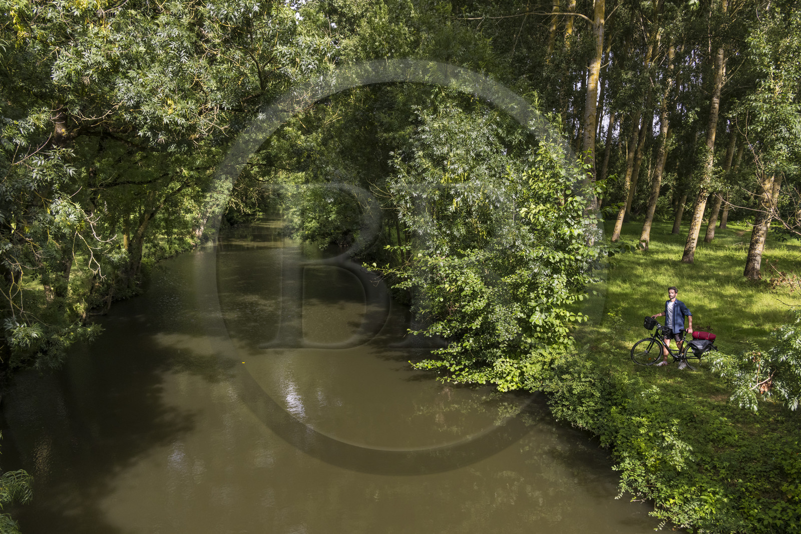 France, Deux-Sèvres (79), le Marais Poitevin, la Venise Verte, Le Vanneau-Irleau, randonnée à bicyclette le long des canaux