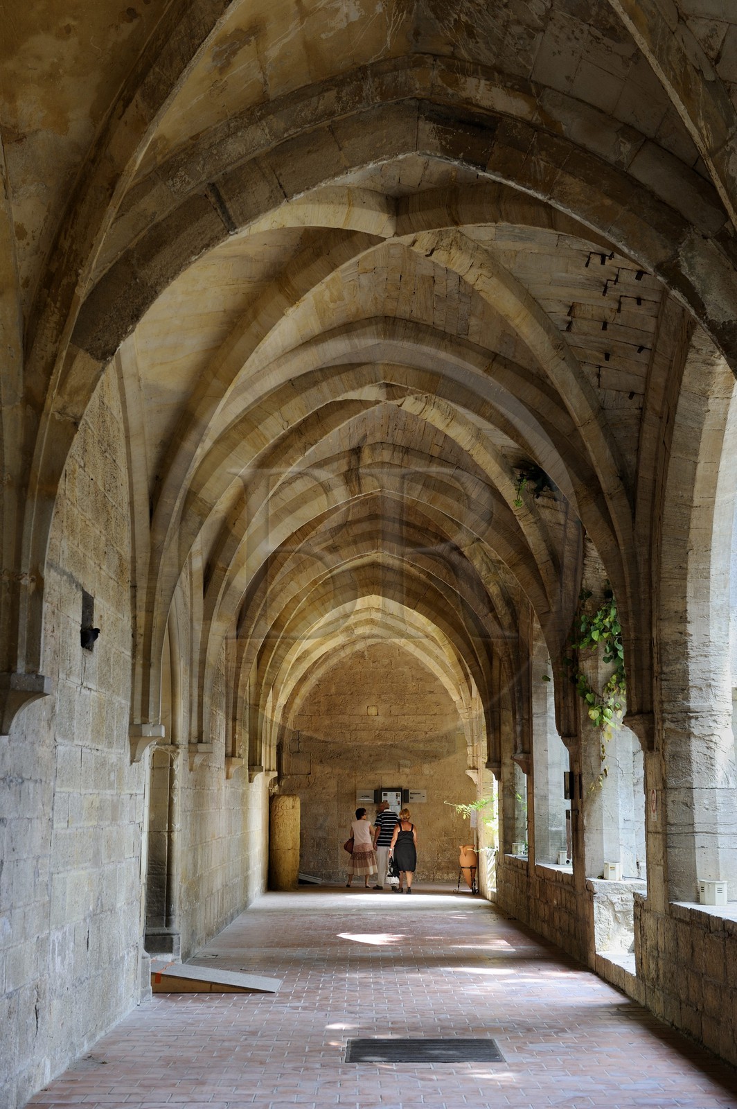 France, Var (83), Provence Verte, Saint-Maximin-la-Sainte-Baume, Basilique Sainte-Marie-Madeleine, le cloire