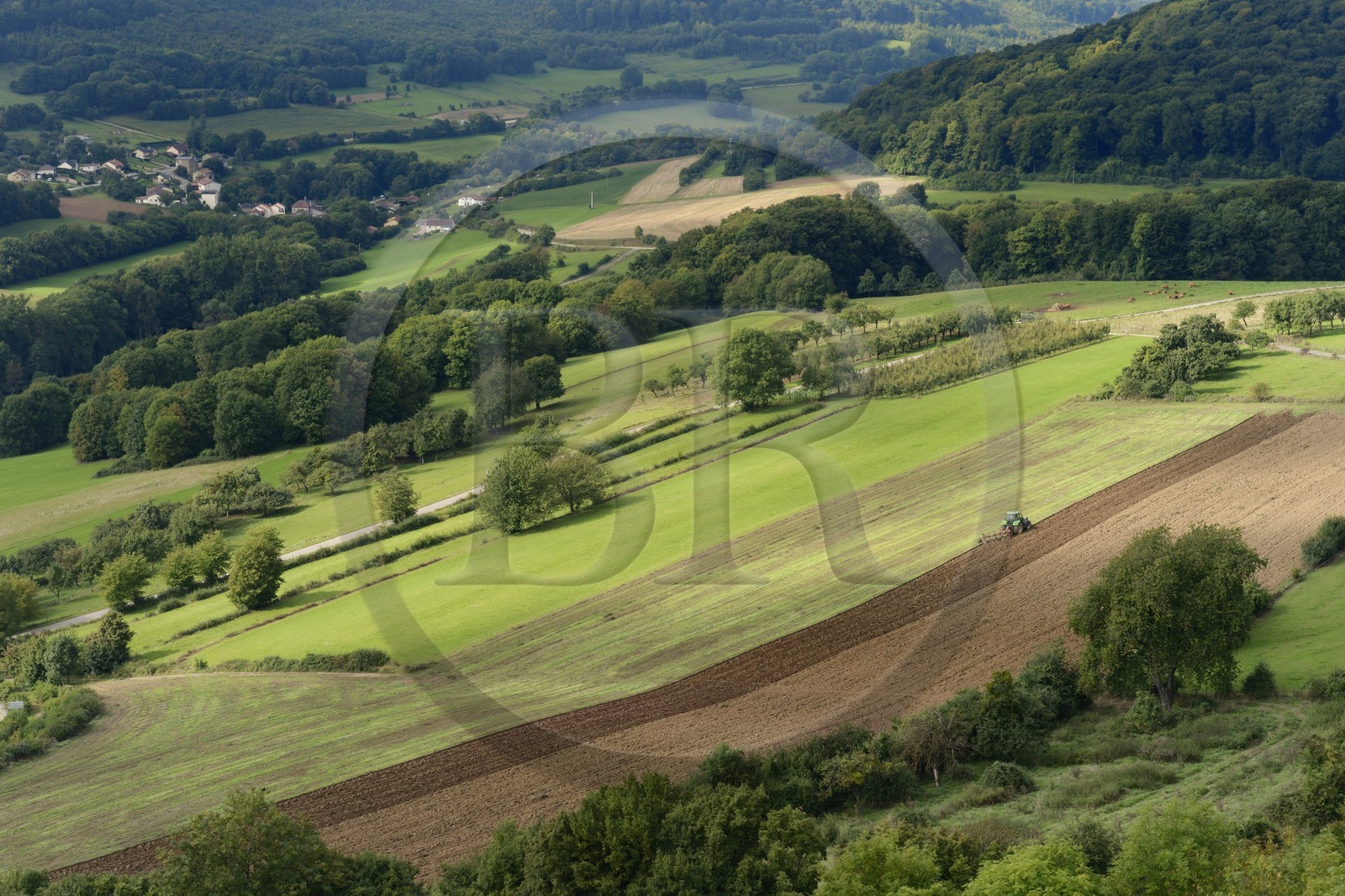 France, Moselle (57), la campagne lorraine à Manderen, frontalière avec la Sarre allemande et à quelques kilomètres du Luxembourg
