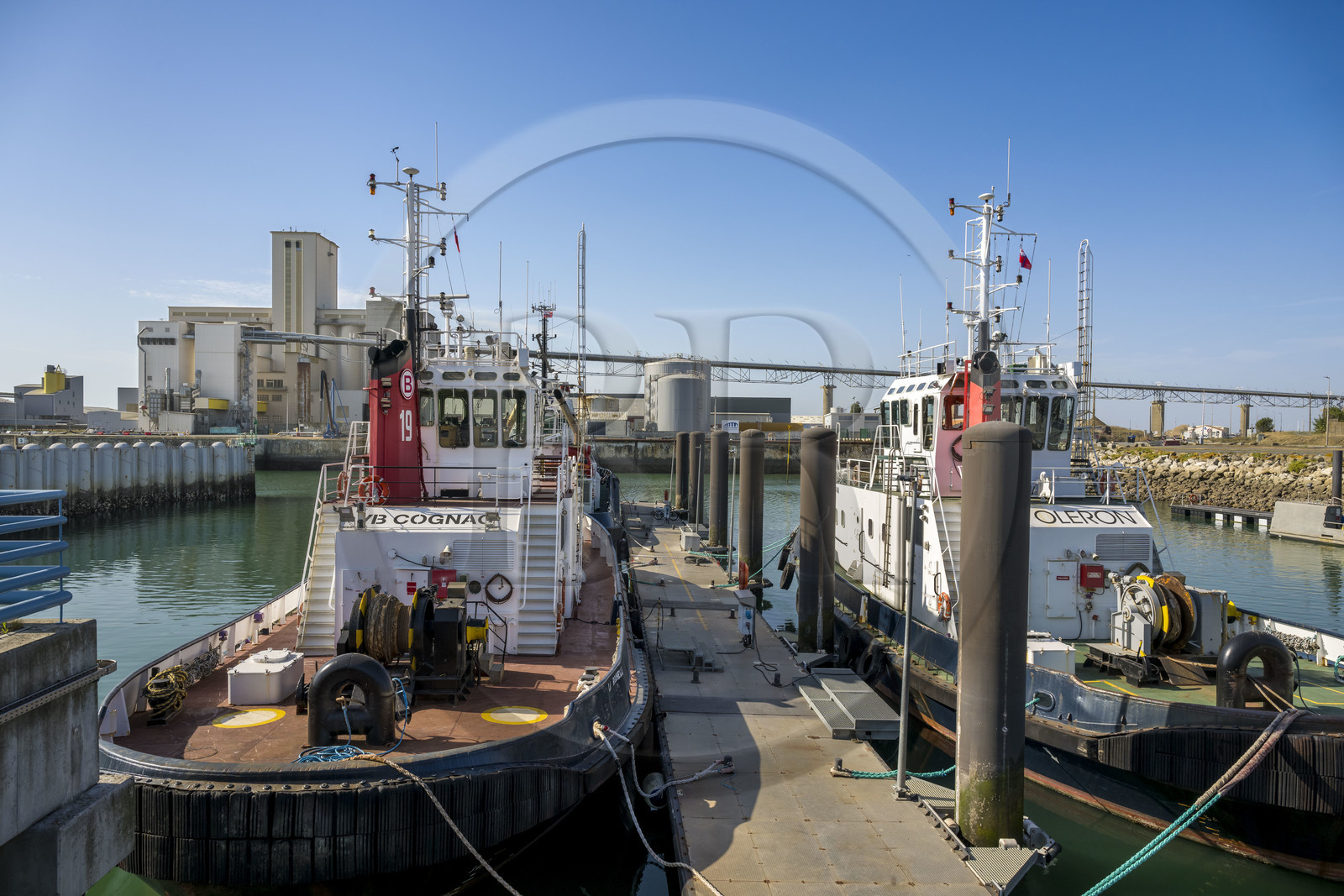 France, Charente-Maritime (17), La Rochelle, le Port Atlantique La Rochelle, port de commerce de La Pallice