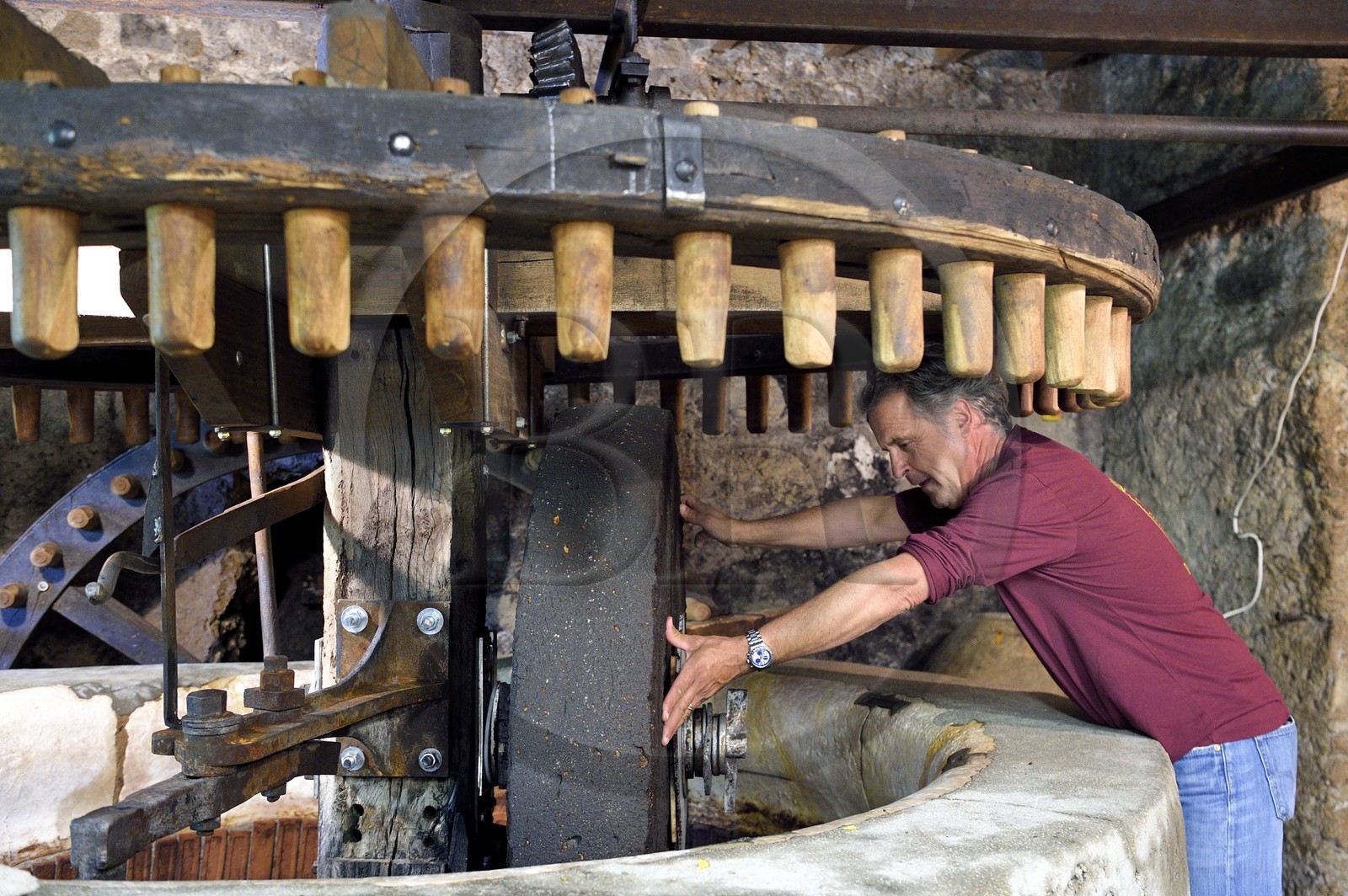 France, Var (83), La Dracénie, village de Tourtour, labellisé Les Plus Beaux Villages de France, le maitre moulinier Jean-Marc Simon devant le moulin oléicole communal