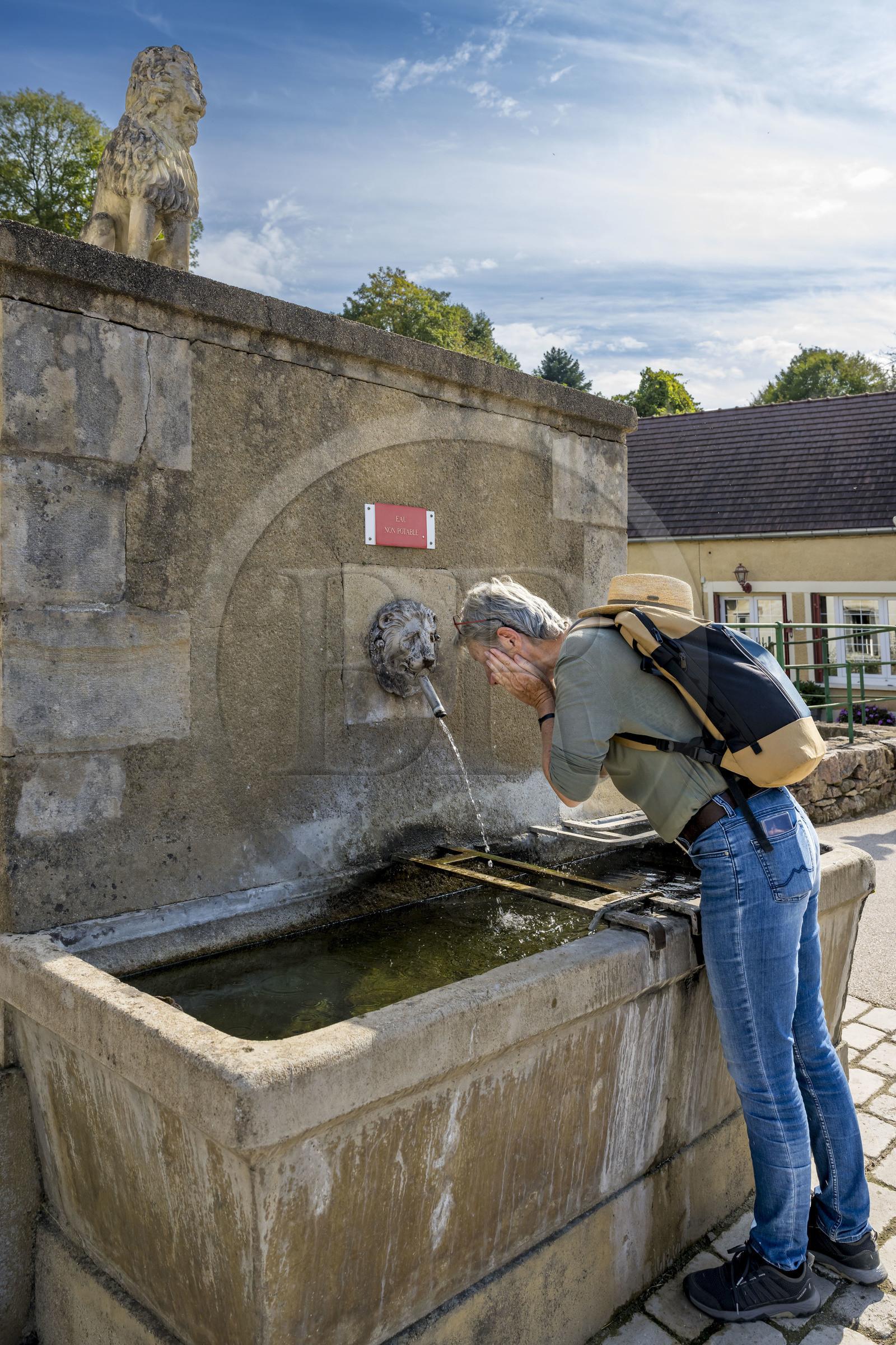 France, Yonne (89), vallée de la rivière Cousin, Pontaubert, la fontaine au lion