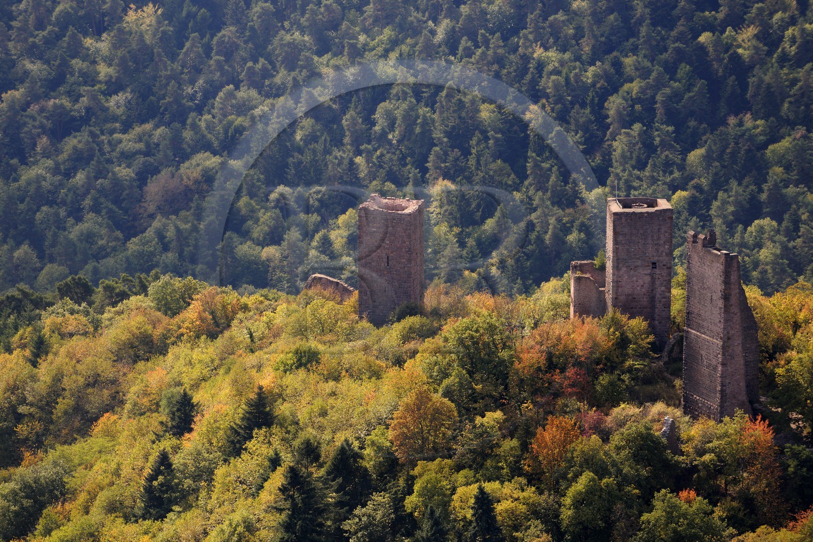 France, Haut-Rhin (68), les trois donjons d'Eguisheim dans le massif des Vosges (photo aérienne)