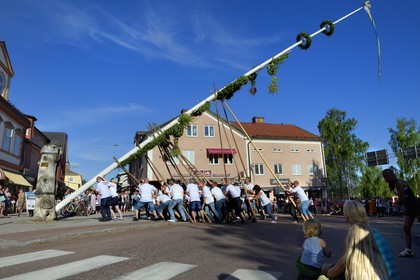 Suède, comté de Dalécarlie, les très populaires célébrations du solstice d'été à Leksand, festival des mâts de la Saint-Jean