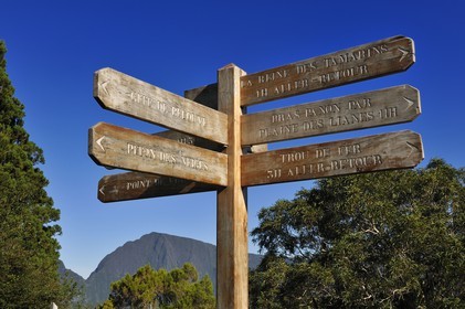 France, île de la Réunion, forêt de Bélouve, panneaux indicateurs des randonnées au gîte de Bélouve