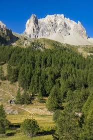 France, Hautes Alpes, Briancon region, Nevache, hikers in the Clarée valley, the Cerces massif in the background