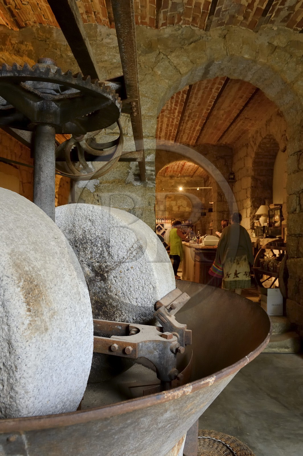 France, Corse du Sud, Sartene, sale of olive oil at the Moulin du Valincu, store in an old mill which has preserved its olive press and mill