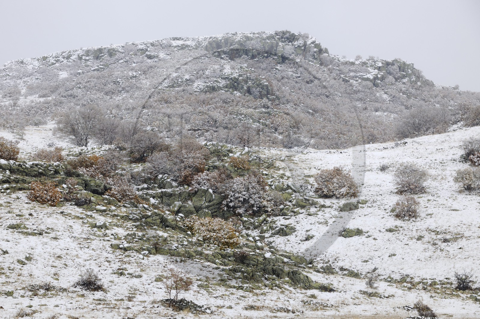 Turquie, Anatolie Centrale, province de Aksaray, Cappadoce classée Patrimoine Mondial de l'UNESCO, Güzelyurt, paysage enneigé