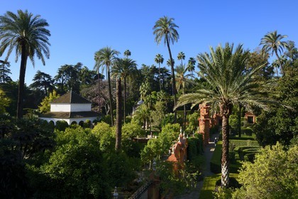 Spain, Andalusia, Seville, the Alcazar of Seville (Reales Alcazares de Sevilla), listed as World Heritage by UNESCO, the gardens and the Carlos V pavilon