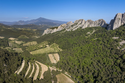 France, Vaucluse (84), Dentelles de Montmirail, Gigondas, la montagne des Dentelles Sarrasines et les vignobles en restanques au col du Cayron, le Mont Ventoux en arrière plan (vue aérienne)