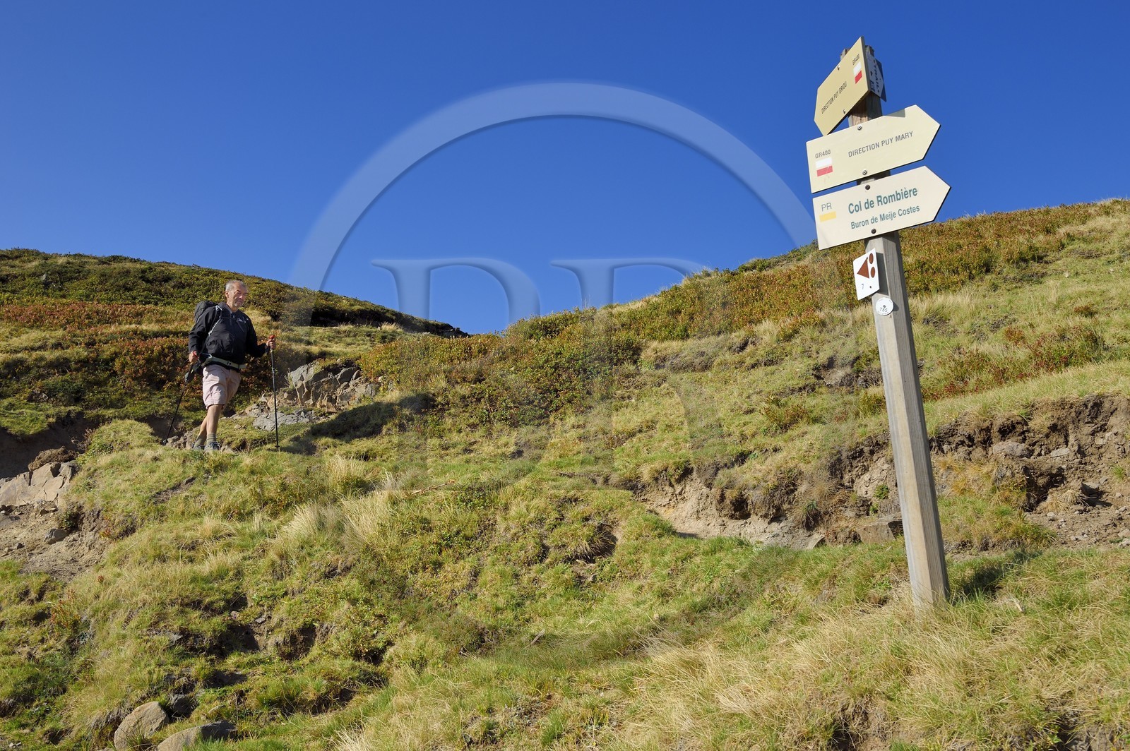 France, Cantal (15), Parc Naturel Régional des Volcans d'Auvergne, Le Lioran, randonneur montant vers le col de Rombière dominant la vallée de l'Alagnon, sur le GR4 - GR400 et sur le chemin de Saint-Jacques de Compostelle par la Via Arverna