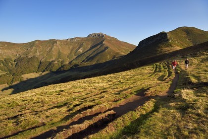 France, Cantal, Parc Naturel Régional des Volcans d'Auvergne (regional nature park of Auvergne volcanoes),  Le Lioran, col de Rombiere (mountain pass), hikers on the Way of St. James to Santiago de Compostela by Via Arverna, the puy de Peyre Arse left then the col de Cabre and the Puy Bataillouse right in the background