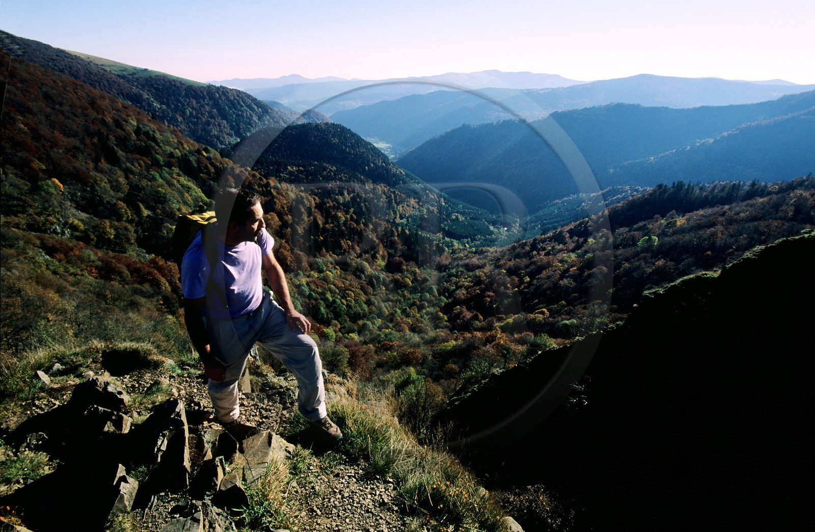 France, Haut-Rhin (68), le massif des Vosges, le Rainkopf et la vallée de Mittlach
