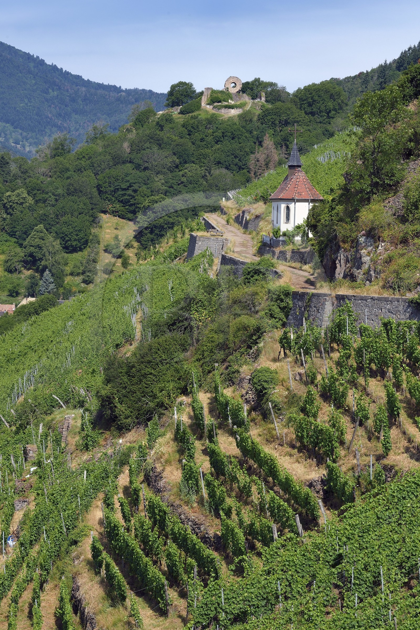 France, Haut-Rhin (68), Route des vins d'Alsace, Thann, vignoble Grand Cru de Rangen, la chapelle Saint Urbain et l'Oeil de la Sorcière (ruine du chateau de l'Engelbourg)