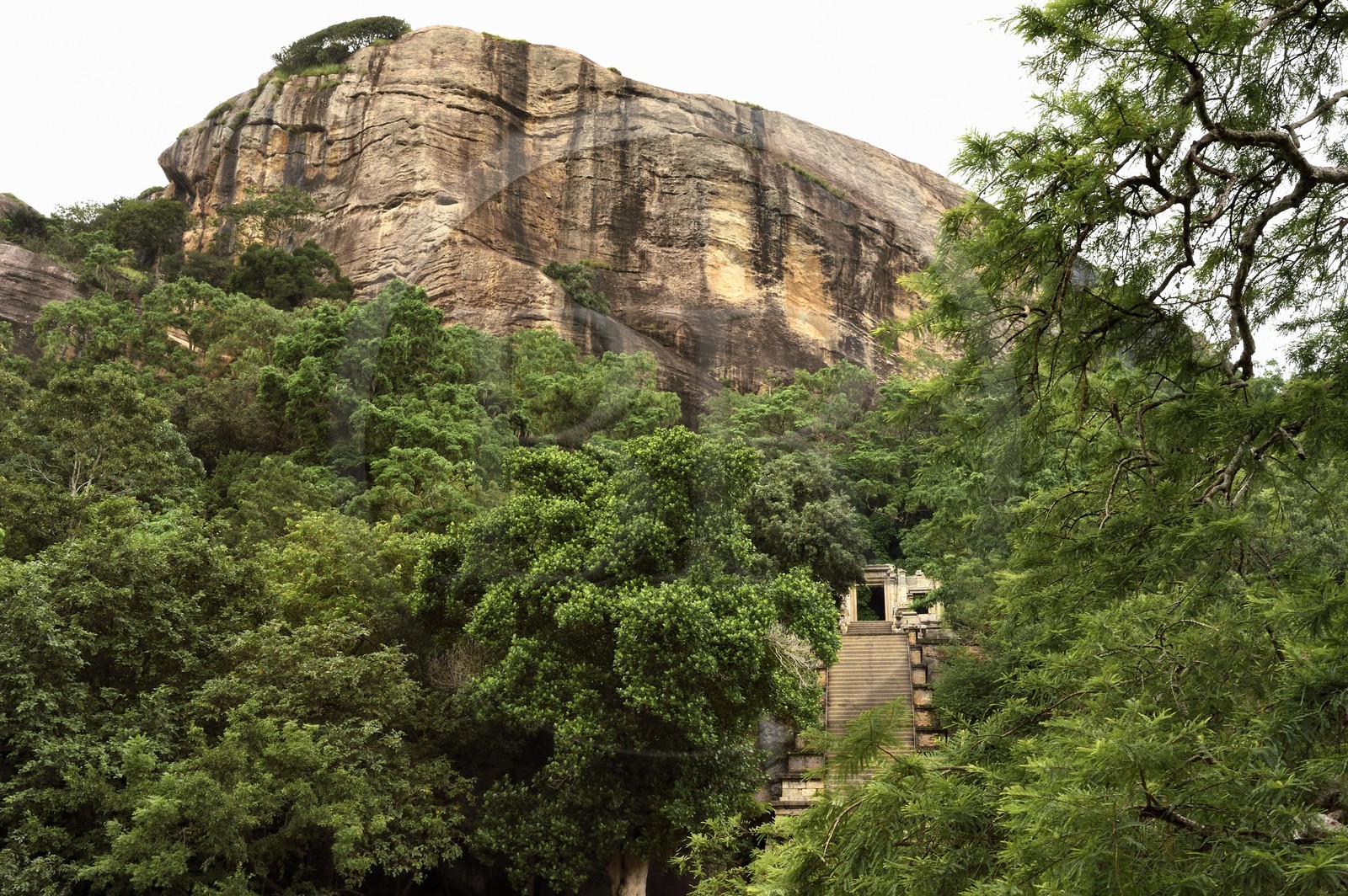Sri Lanka, Province du Nord Ouest, le grand escalier de la forteresse de granit de Yapahuwa, éphémère capitale du pays au XIIIème siècle