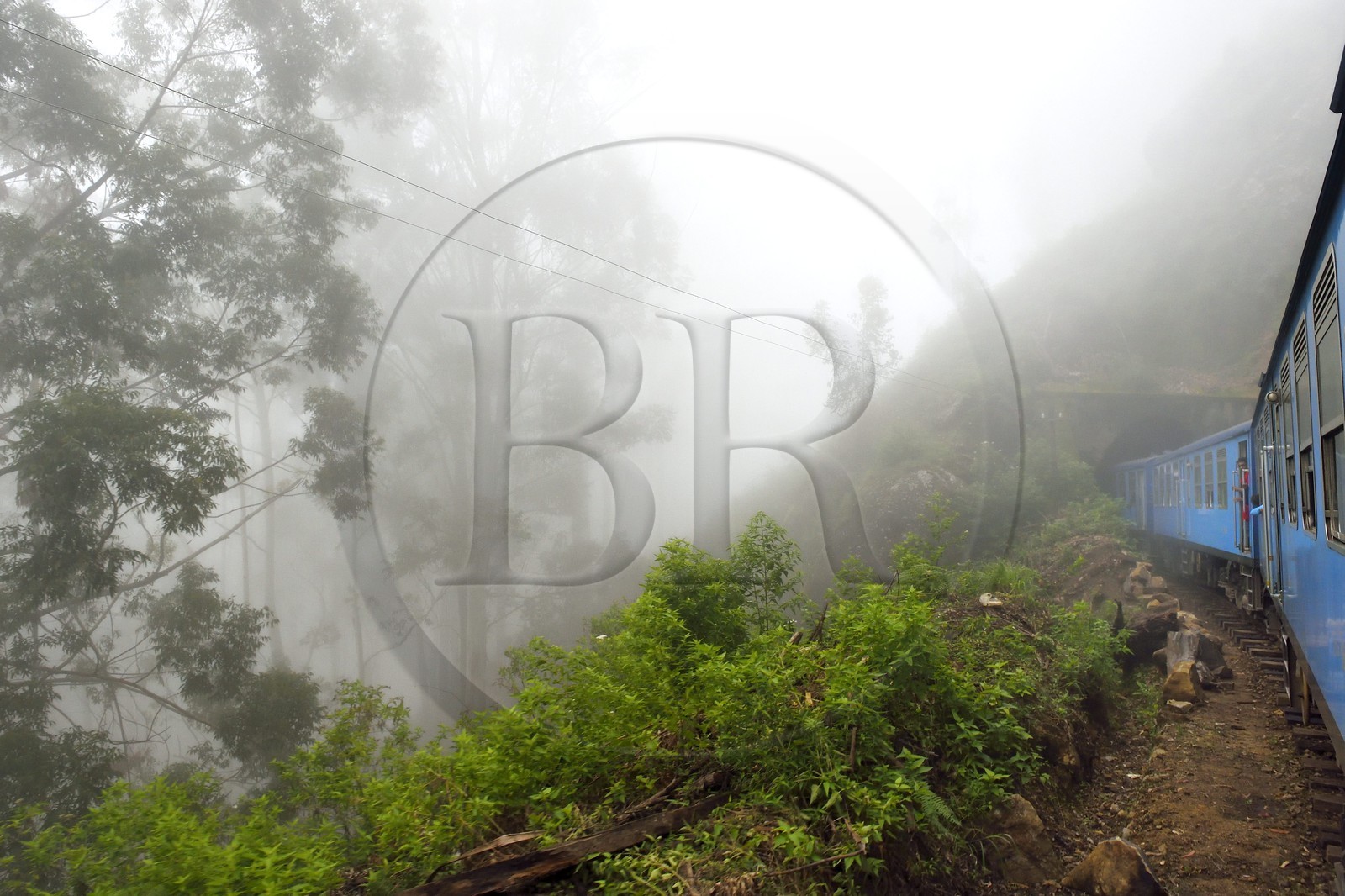 Sri Lanka, Province d'Uva, trajet en train dans la région montagneuse de la culture du thé entre Hatton et Badulla, en bordure de la forêt de nuages du parc national de Horton Plains