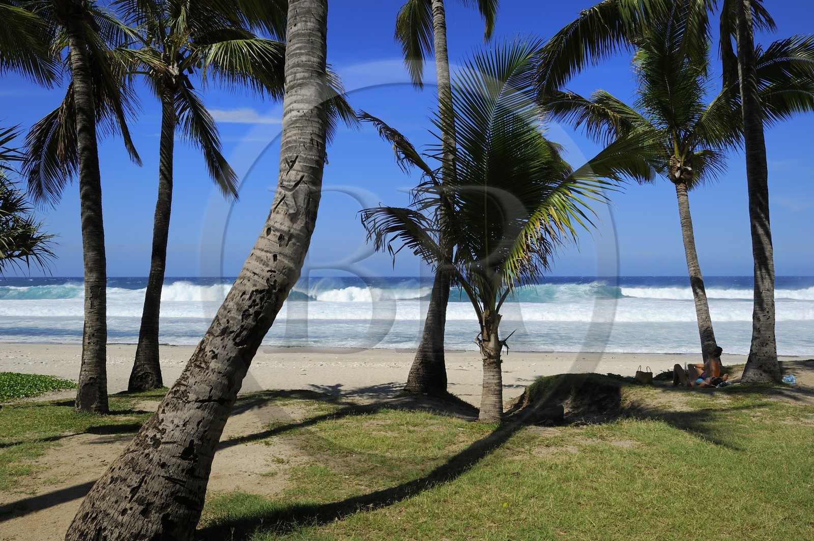 France, île de la Réunion, la côte sud, plage de Grand-Anse