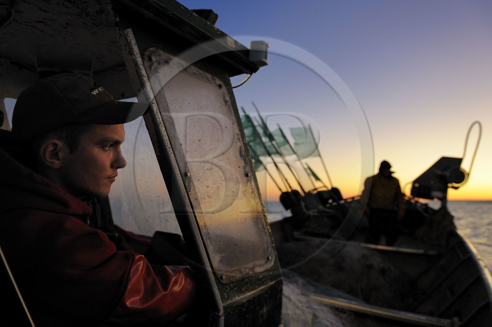 France, Seine-Maritime (76), au large de Veules-les-Roses à l'aube, pêche au filet à bord du bateau La Pomme appartenant à Anthony Paumier le plus jeune patron de pêche de France