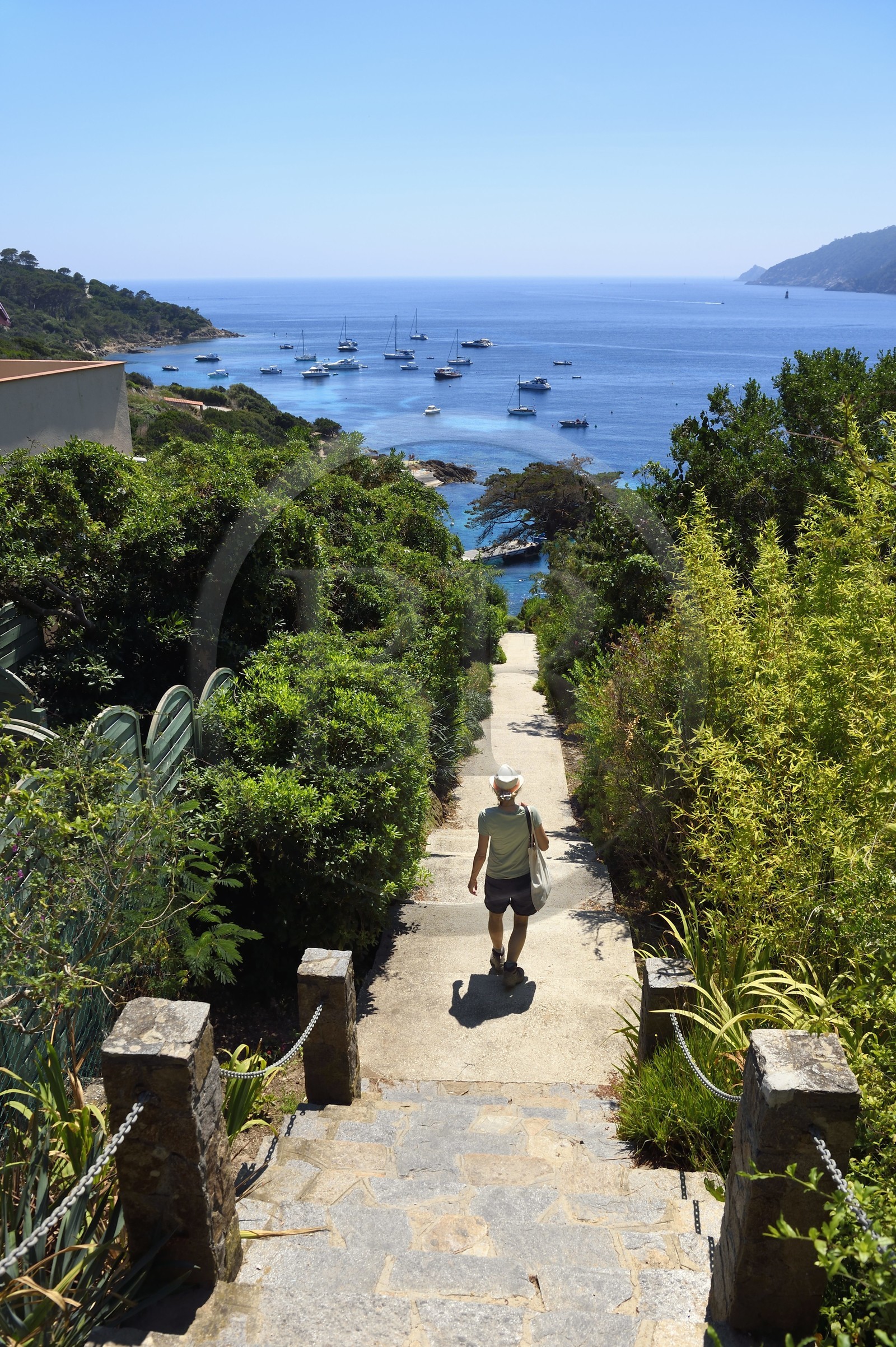 France, Var (83), Iles d'Hyères, Parc national de Port Cros, Ile du Levant, domaine naturiste d'Héliopolis, chemin et escalier de la Perspective, l'axe central du village