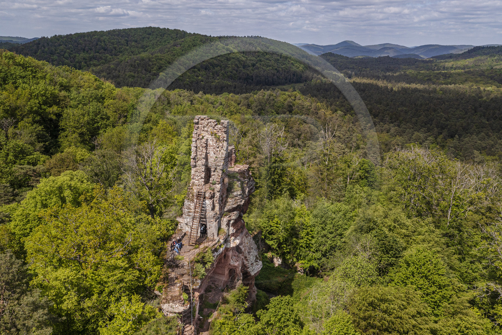 France, Bas-Rhin (67), Parc naturel régional des Vosges du Nord, Obersteinbach, foret domaniale de Steinbach, ruines du chateau de Lutzelhardt (vue aérienne)