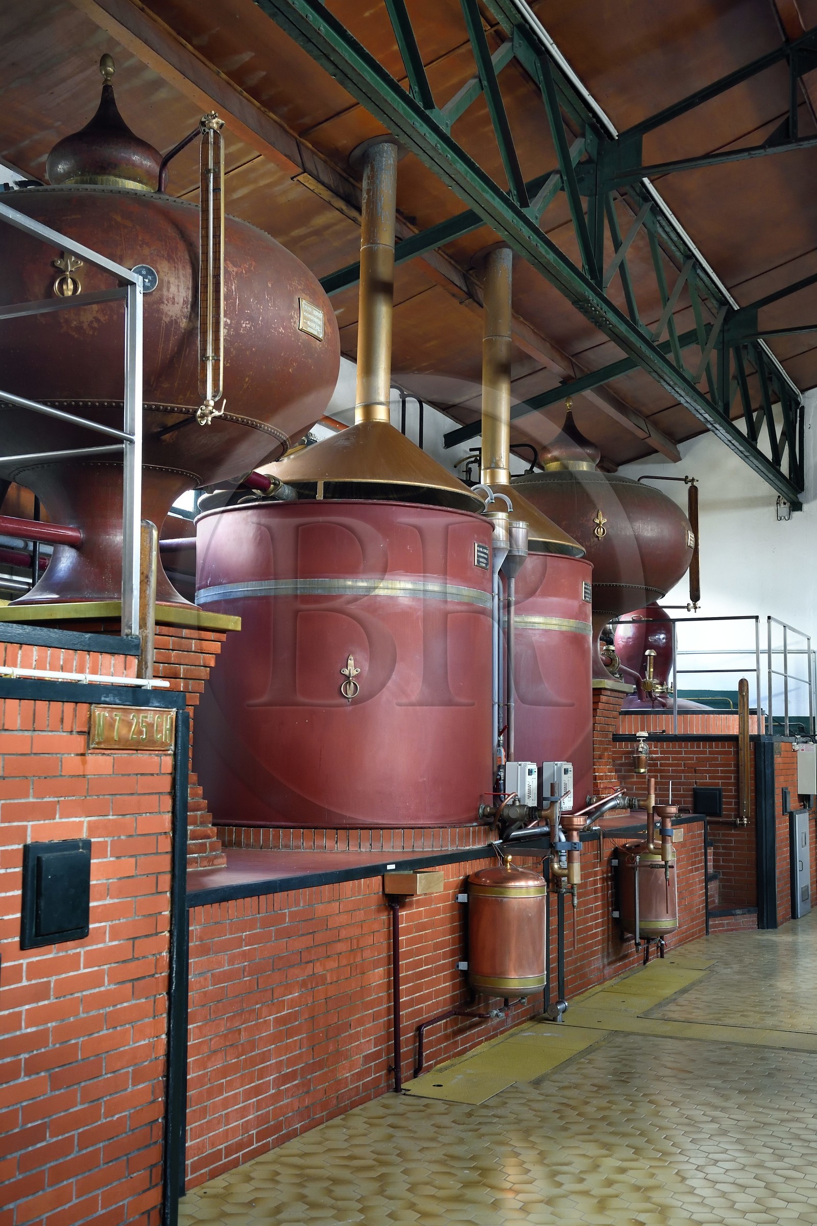 France, Charente (16), Sireuil, Distillerie des Moisans, alambic charentais destiné à produire l'eau-de-vie de vin qui deviendra du cognac