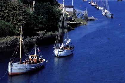 France, Finistere, Douarnenez town, boats anchored in the harbour