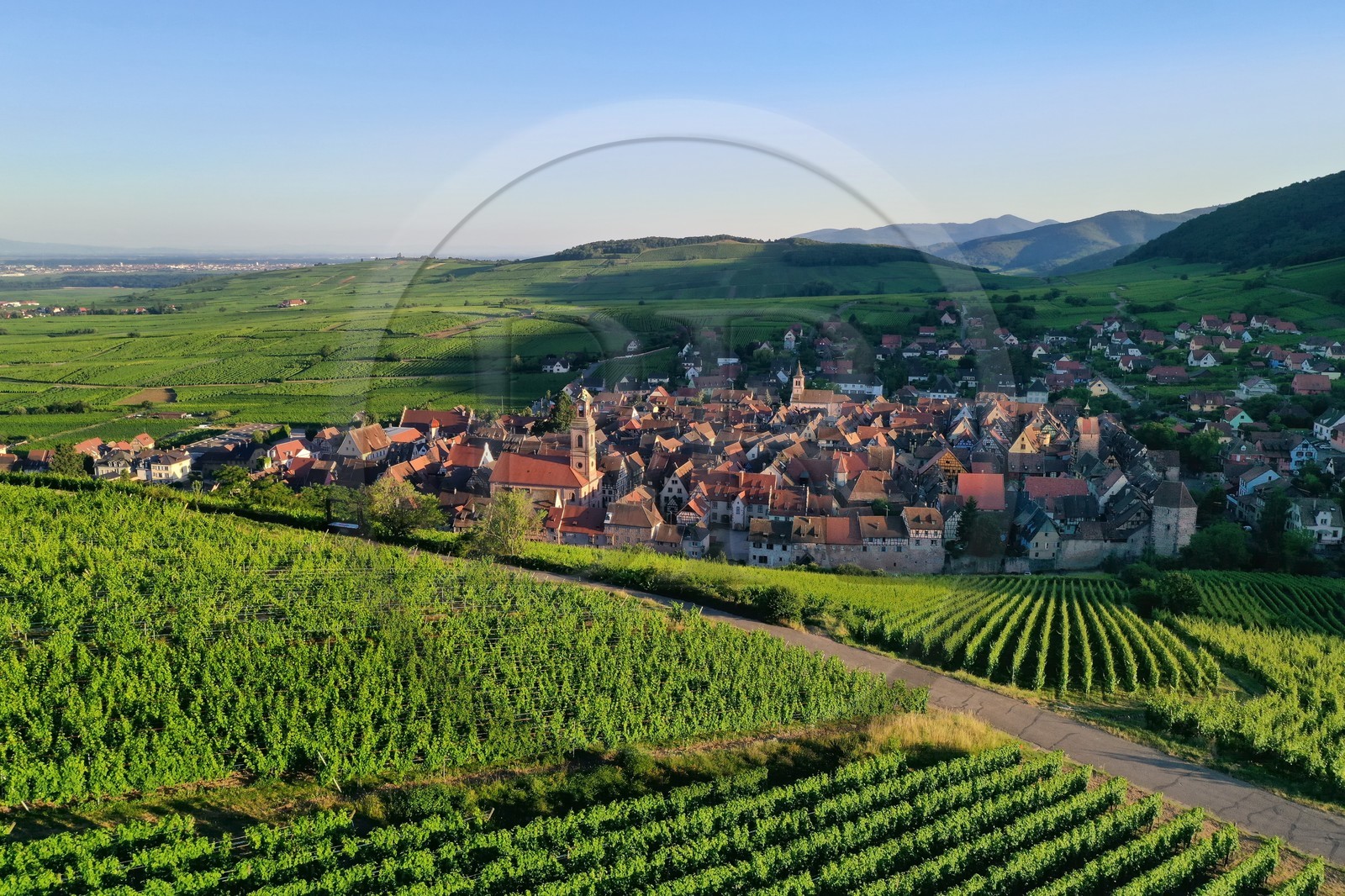 France, Haut-Rhin (68), Route des vins d'Alsace, Riquewihr, labellis