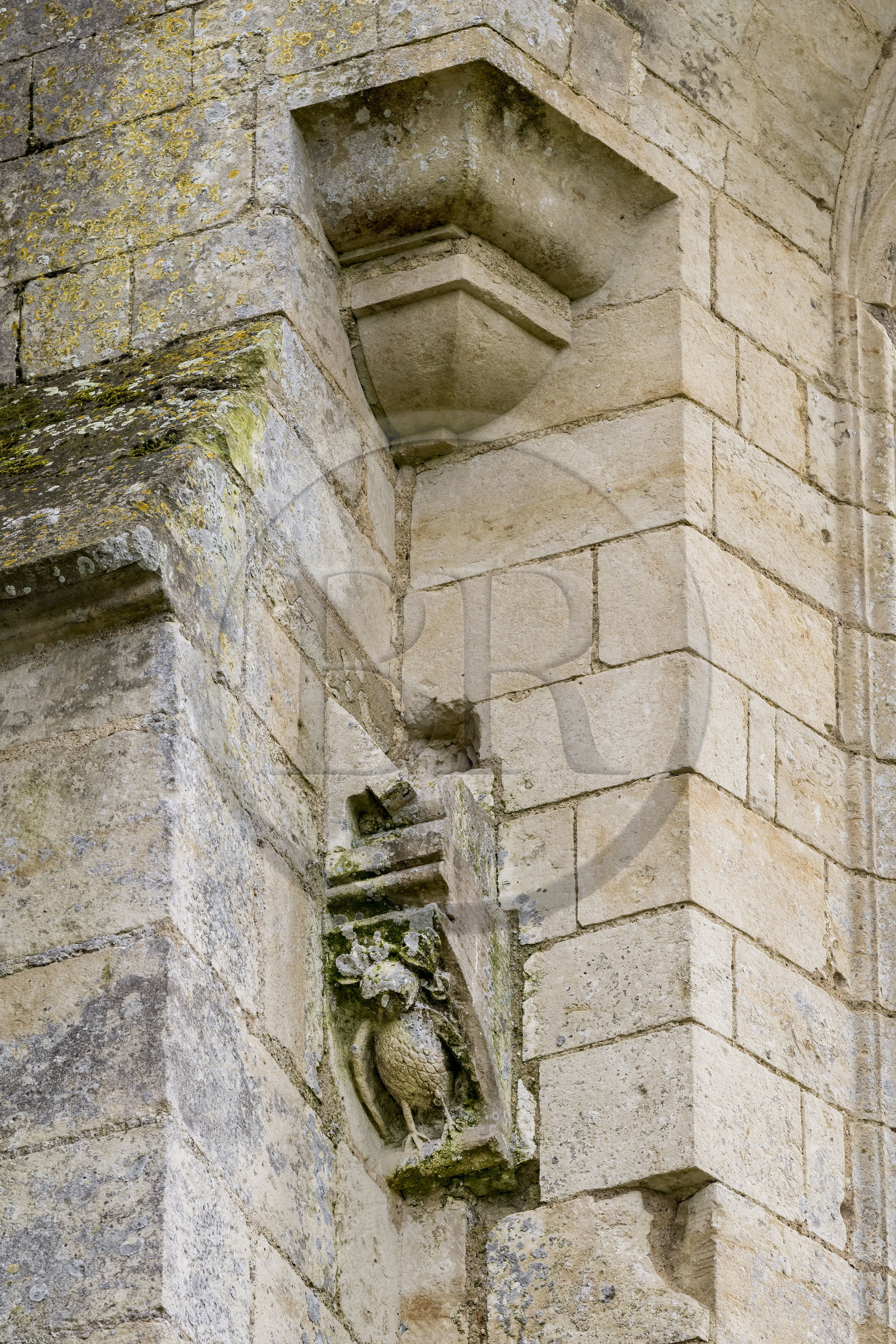 France, Vendee, Parc Interregional du Marais Poitevin labellised Grand Site de France (Interregional Park of the Marais Poitevin labelled Great Site of France), Maillezais, vestiges of the Saint Pierre de Maillezais abbey, detail of the walls of the abbey church, sculpture of an owl on a cul-de-lampe