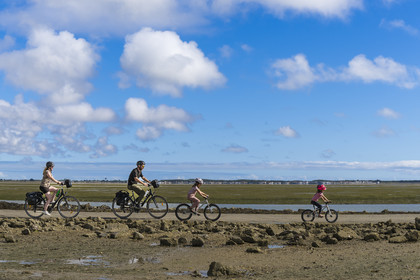 France, Vendée (85), île de Noirmoutier, Barbatre, cyclistes sur le passage du Gois, chaussée submersible qui relie l'île au continent à marrée basse
