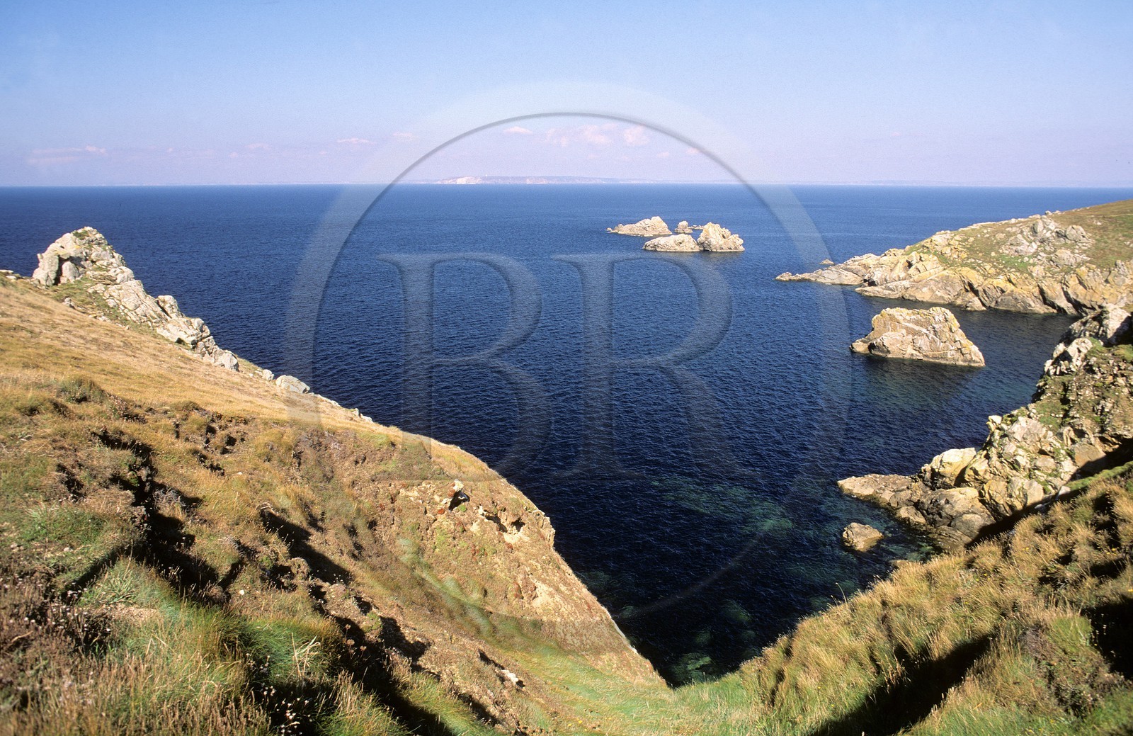 France, Finistère (29), réserve du Cap Sizun